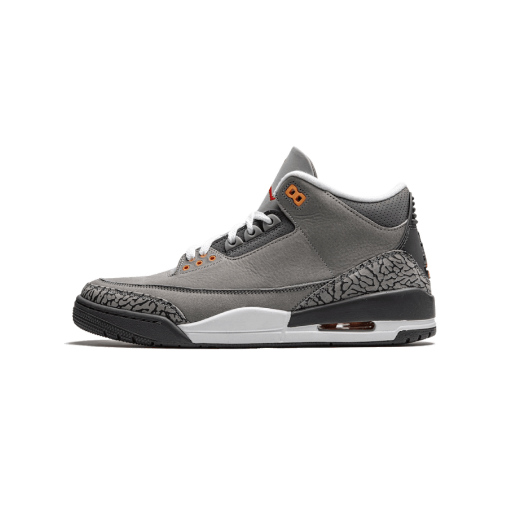 Air Jordan 3 Retro Cool Grey (2021)