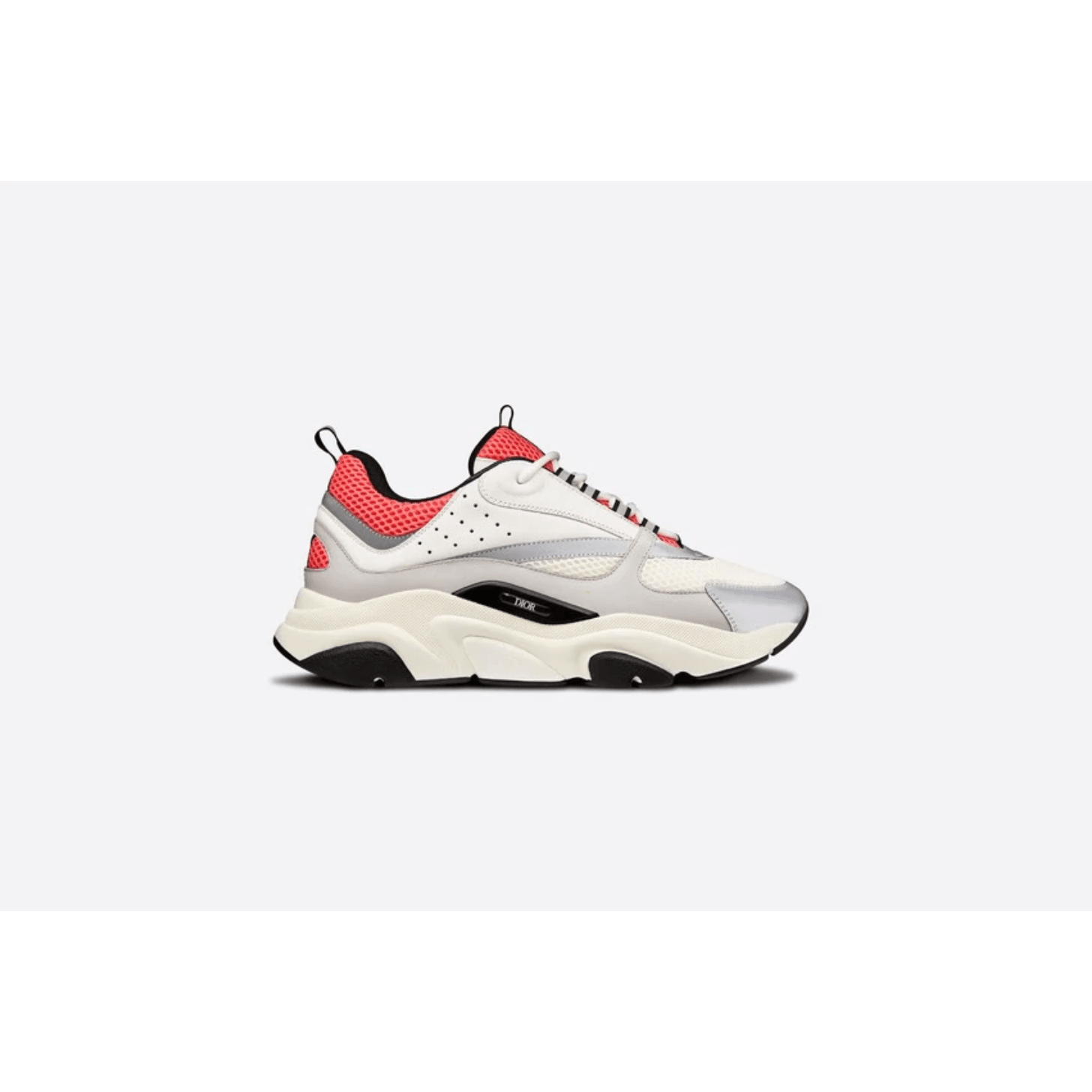 Dior B22 - Plumas Kicks
