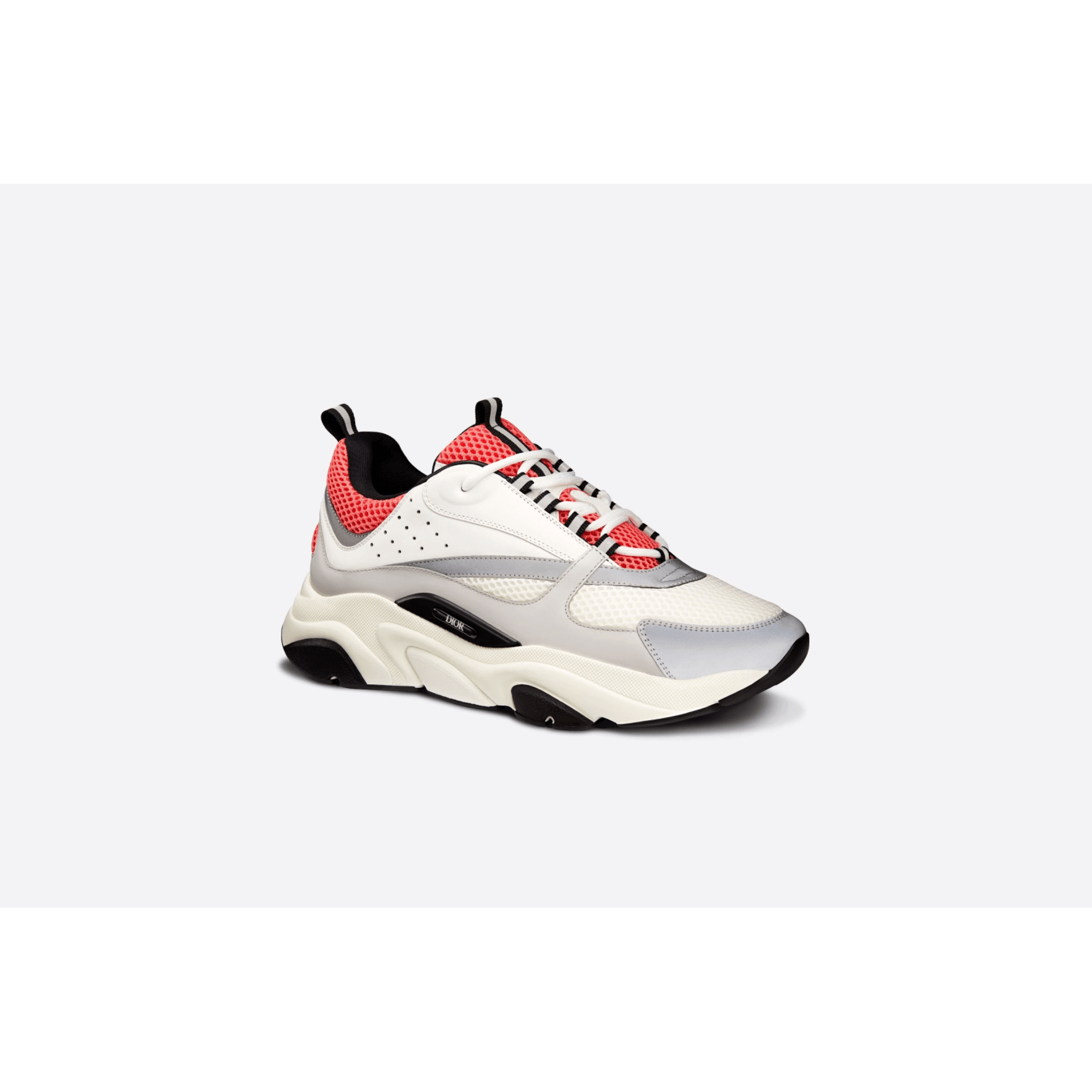 Dior B22 - Plumas Kicks
