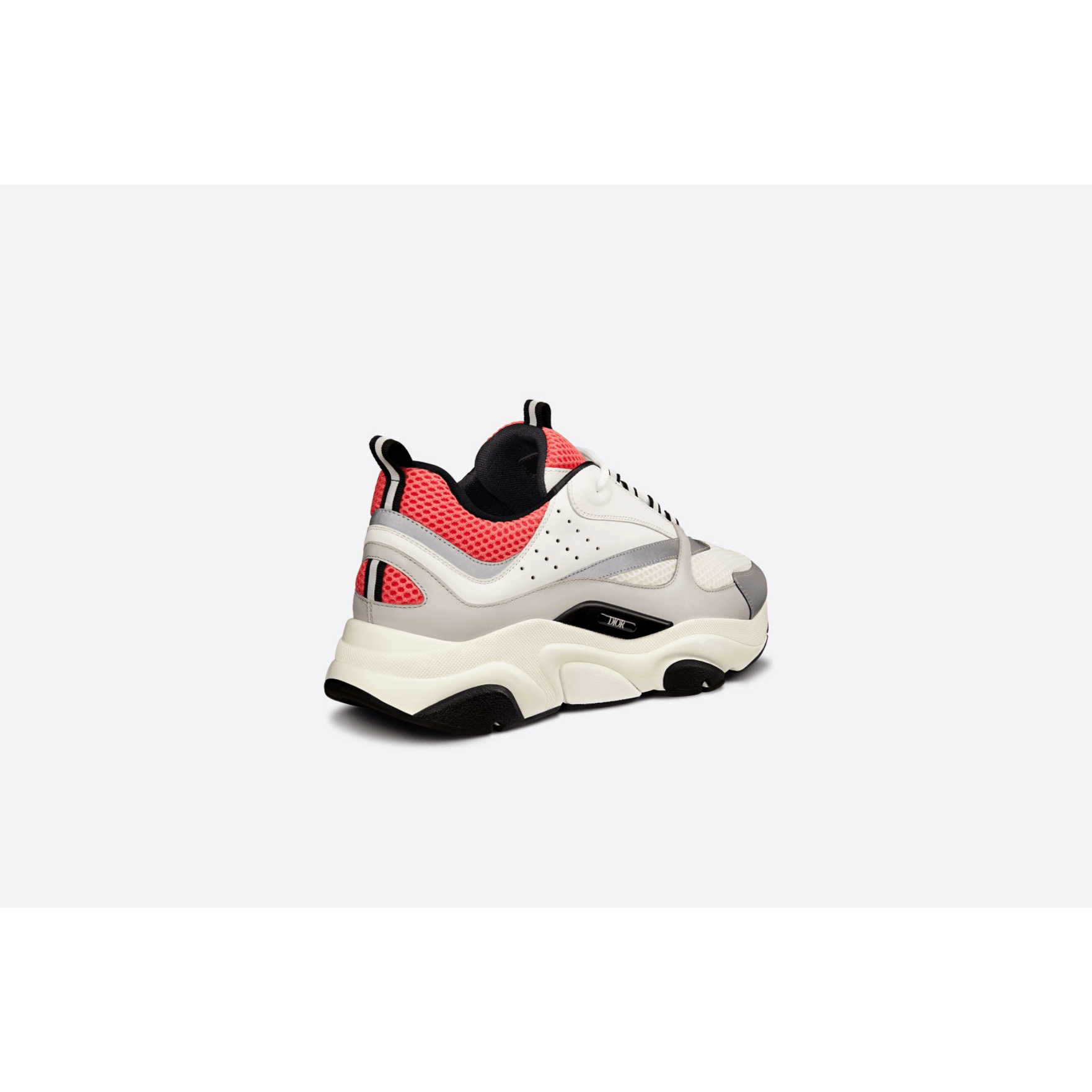 Dior B22 - Plumas Kicks