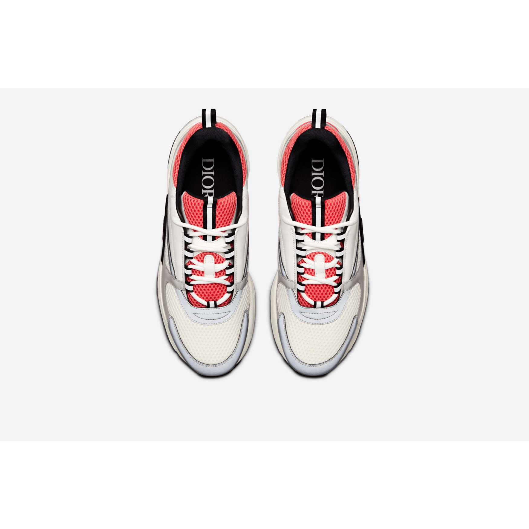 Dior B22 - Plumas Kicks