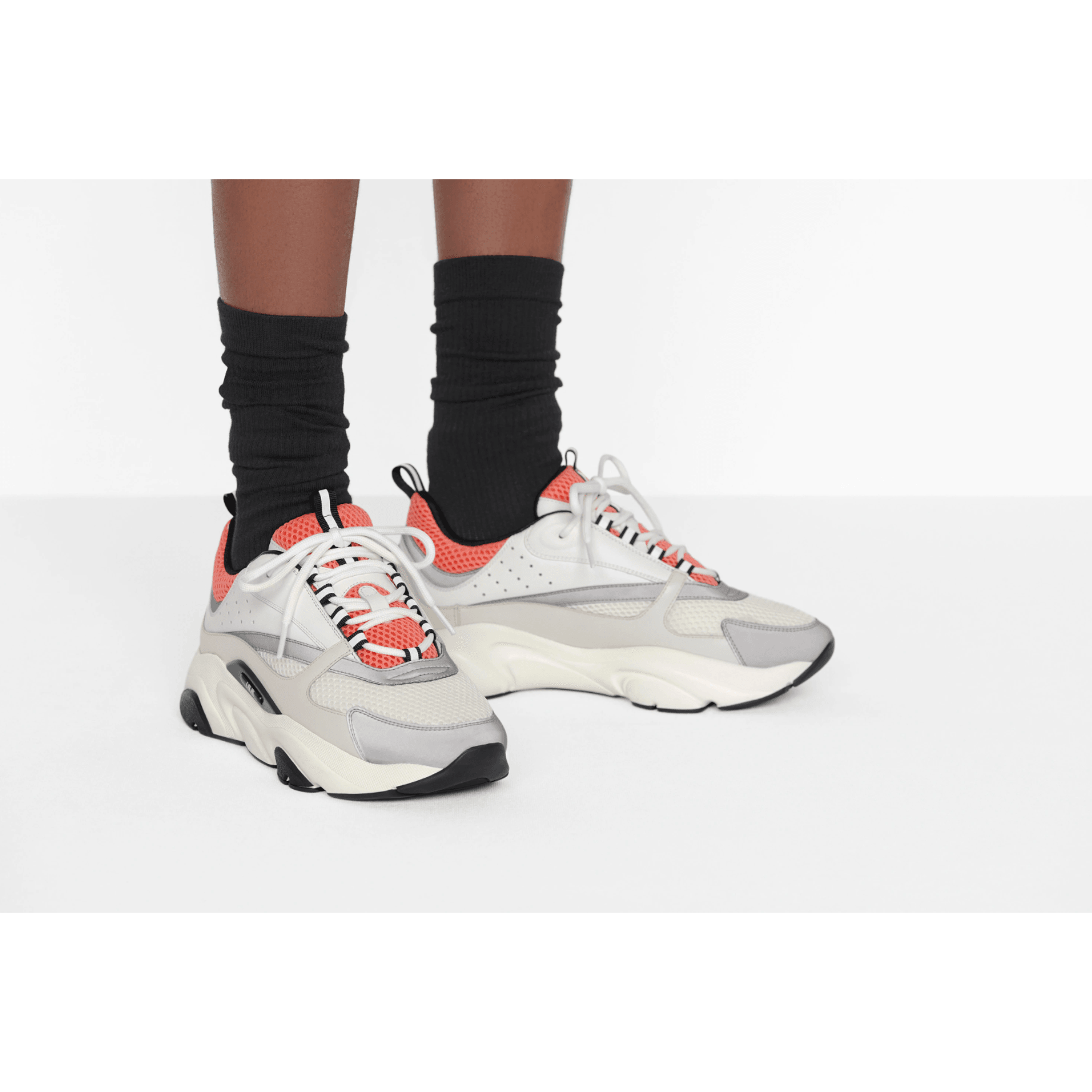 Dior B22 - Plumas Kicks