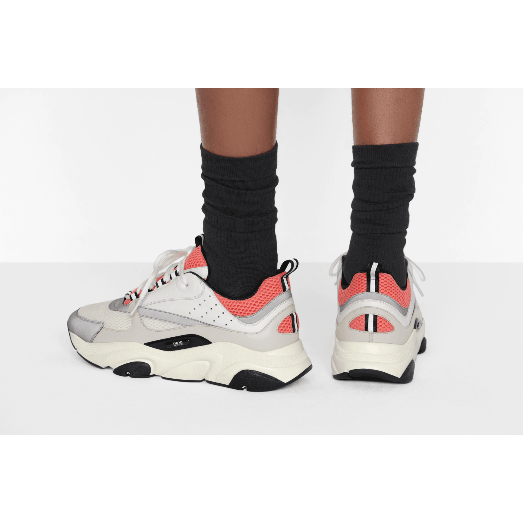 Dior B22 - Plumas Kicks
