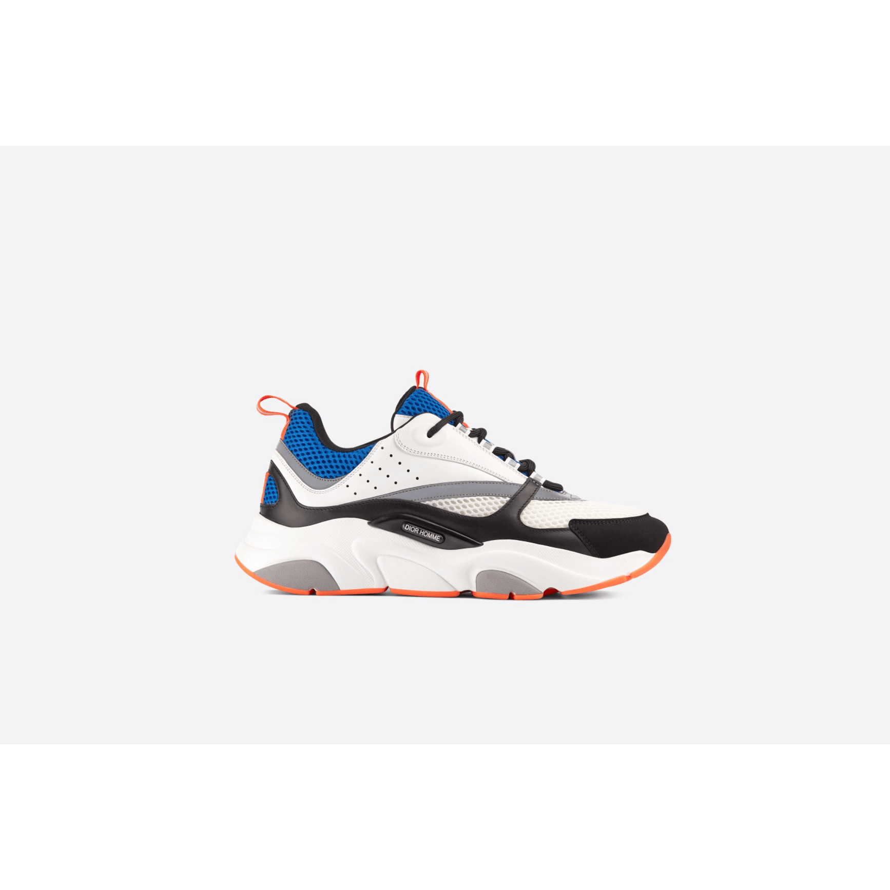 Dior B22 - Plumas Kicks