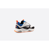 Dior B22 - Plumas Kicks