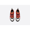 Dior B22 - Plumas Kicks