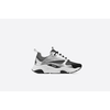 Dior B22 - Plumas Kicks